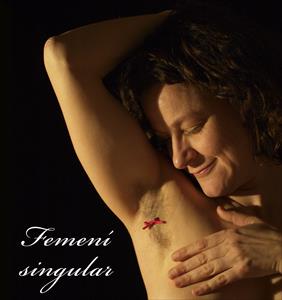 FEMENÍ SINGULAR. EN CONTRA DE LA VIOLÈNCIA DE GÈNERE