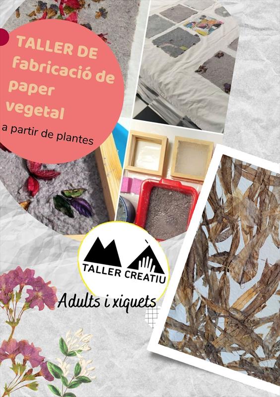 FABRICACIÓ DE PAPER VEGETAL A PARTIR DE PLANTES