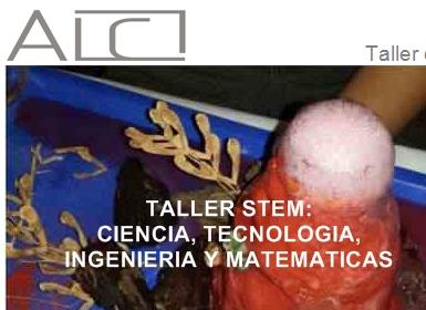 STEM
