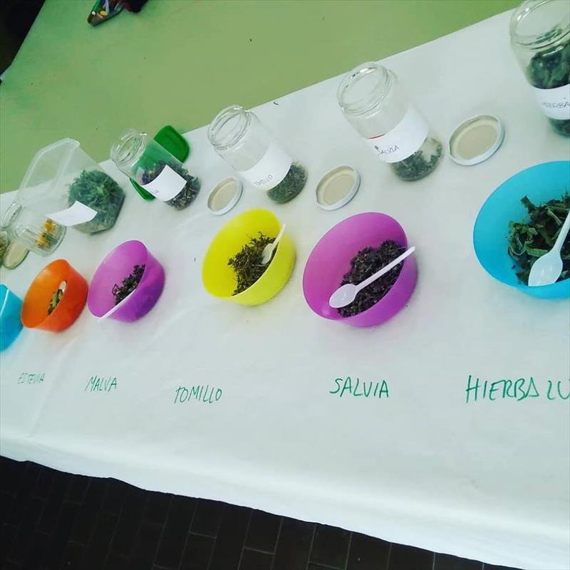 FITOCOSMÉTICA, COSMÉTICA ELABORADA CON PLANTAS