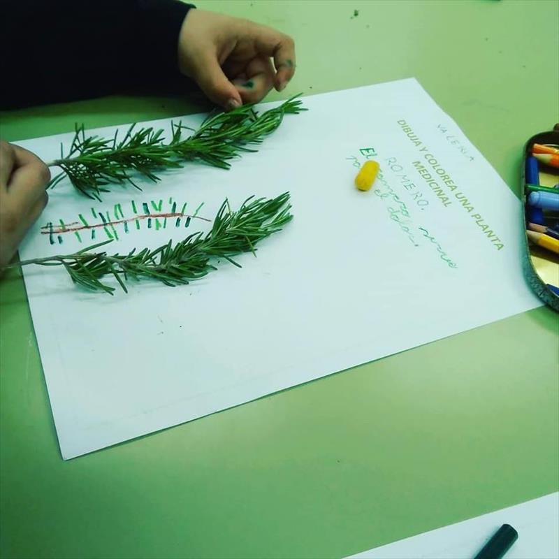 ARTE Y NATURALEZA