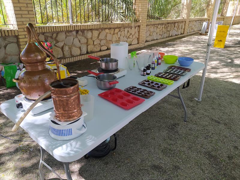 DESTILACIÓN DE PLANTAS AROMÁTICAS