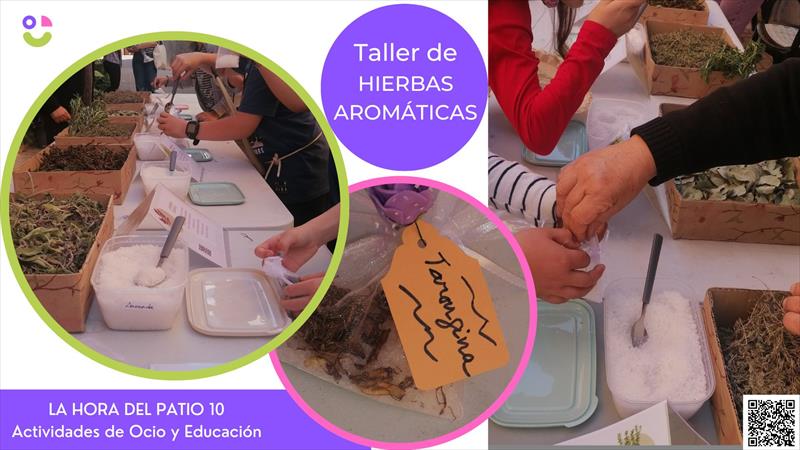 HIERBAS AROMÁTICAS