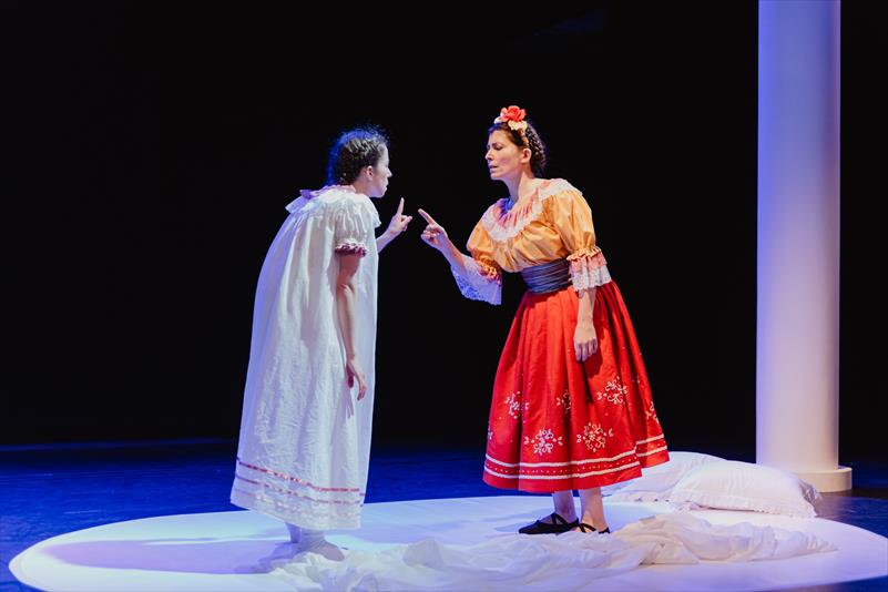 FRIDA, LA XIQUETA QUE VOLIA PINTAR