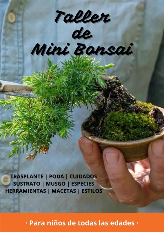 JORNADA MINI BONSAI