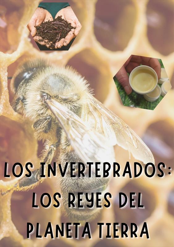 LOS INVERTEBRADOS: LOS REYES DEL PLANETA TIERRA