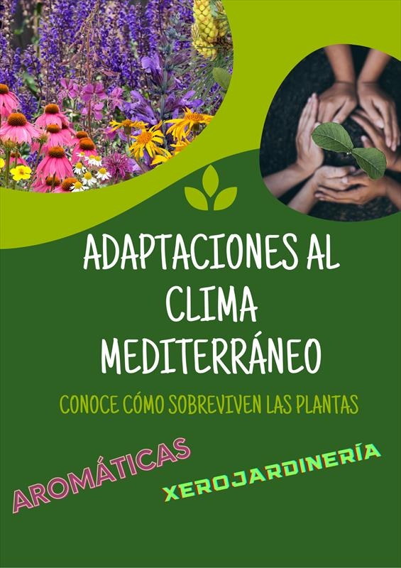 EL MEDITERRÁNEO. LAS ADAPTACIONES DE LAS PLANTAS AL CLIMA