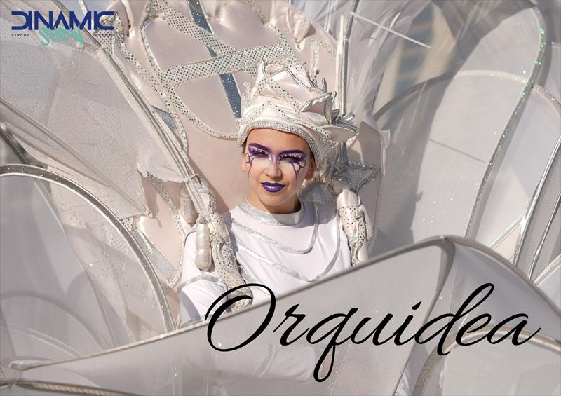 ORQUÍDEA