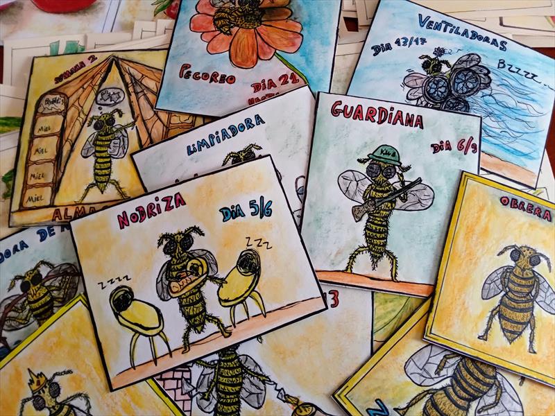 CHARLA EDUCATIVA Y INTERACTIVA CON CARTAS DE ABEJAS ILUSTRADAS